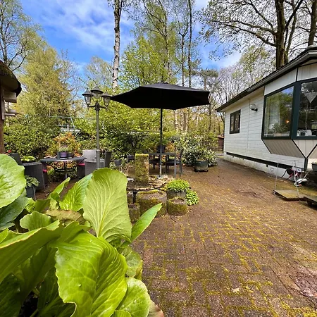 Village de vacances Veluwshof Holidays Luxe With Private Jacuzzi's - Swimmingpool - Tennis Court - Bowling - Supermarket And Children Entertainment