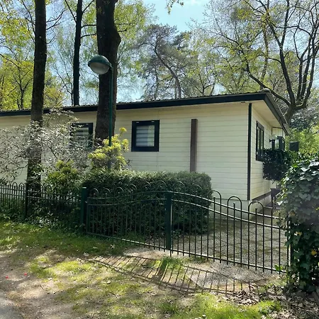 Holiday park Veluwshof Holidays Luxe With Private Jacuzzi's - Swimmingpool - Tennis Court - Bowling - Supermarket And Children Entertainment