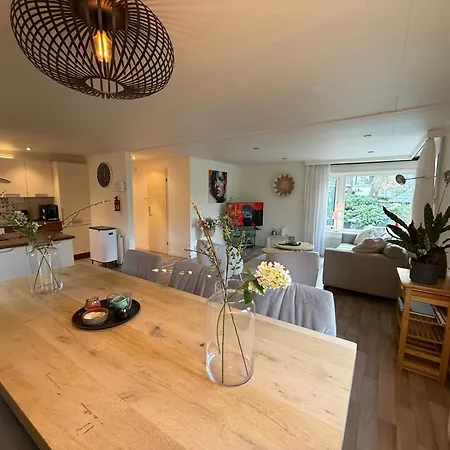 Veluwshof Holidays Luxe With Private Jacuzzi's - Swimmingpool - Tennis Court - Bowling - Supermarket And Children Entertainment * Hoenderloo