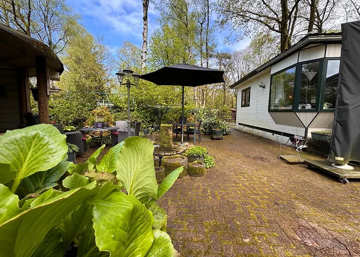 Ferienpark Veluwshof Holidays Luxe With Private Jacuzzi's - Swimmingpool - Tennis Court - Bowling - Supermarket And Children Entertainment