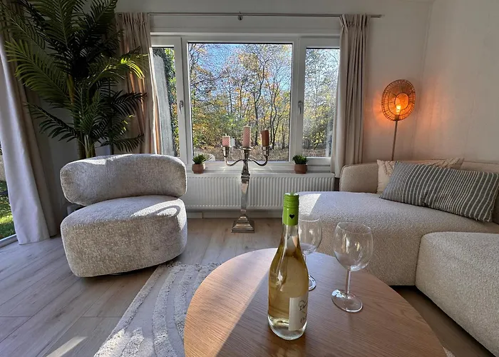 Veluwshof Holidays Luxe With Private Jacuzzi's - Swimmingpool - Tennis Court - Bowling - Supermarket And Children Entertainment * Hoenderloo